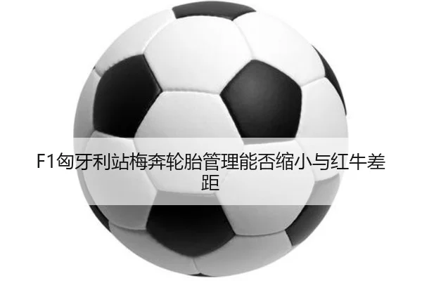 img_1784225454802_643_1_427.jpg