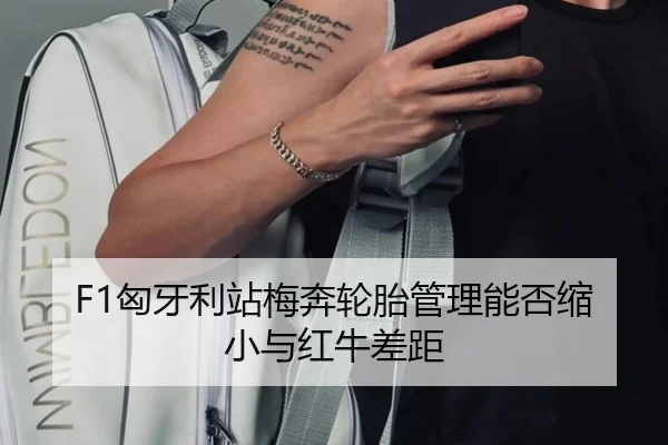 F1匈牙利站梅奔轮胎管理能否缩小与红牛差距
